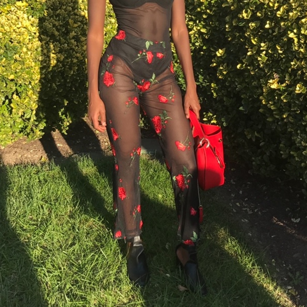 Nasty gal sheer pants